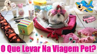 Mala de Viagem Pet Kit NecessaÌrio  Itens Essenciais Para os Animais e Muitas Dicas â— LÃ³i CÃºrcio [upl. by Austine891]