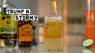 Trump and Stormy  Tipsy Bartender [upl. by Ranger]