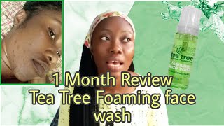 Tea tree face cleanser review  Tea tree foaming face wash Affordable Cleansers for oily skin [upl. by Yenalem111]