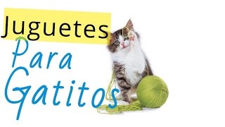 Aprende hacer Juguetes para gatos en casa [upl. by Aneer]