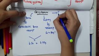 calcitonin  pharmacology [upl. by Ardnaskela]