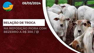 Relação de troca na reposição piora com bezerro de R300 a arroba  cotação já é realidade em alg [upl. by Dempster]