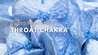 Throat Chakra Meditation🩵 5 Minute Clearance Balance amp Activation [upl. by Ena]