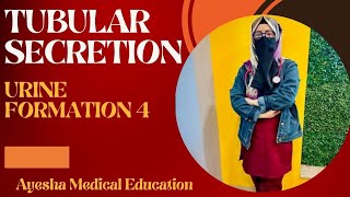 TUBULAR SECRETION  URINE FORMATION 4  STEPS OF URINE FORMATION  RENAL PHYSIOLOGY [upl. by Aliam]