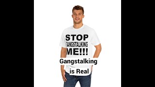 Gangstalking is Real Should be Studied Conference Keynote Speech [upl. by Rolyks]