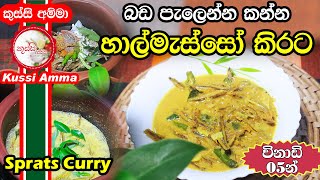 Sprats Curry By Kussi Amma  විනාඩි 05න් හාල්මැස්සෝ කරියක් කිරට  Special Halmasso Curry  New Foods [upl. by Snahc]