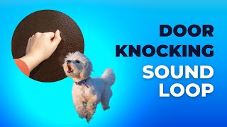 Door Knocking Sounds  Desensitizing Sound for Puppies and Dogs [upl. by Zel]