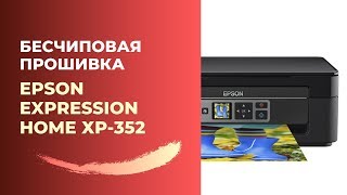 Бесчиповая прошивка Epson XP352  Видеоинструкция [upl. by Annaiel150]