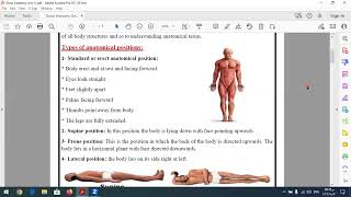 Gross Anatomy Lect 1 [upl. by Johm964]