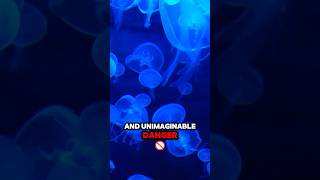 5 Most Poisonous Aquatic Creatures Revealed short fact poisonousanimals [upl. by Gillmore637]