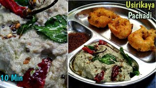 Usirikaya Thokku Pachadi In TeluguUsirikaya Roti PachadiUsirikaya Pachadi Instant  Amla Pickle [upl. by Ahsiadal]