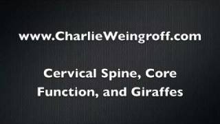 Charlie WeingroffCervical spine Core Function and Giraffes [upl. by Norine]