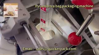 Commiphora gileadensis tea pyramid triangle bag tea bag packaging machine Delivery pyramidtea tea [upl. by Oiracam319]