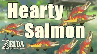 Hearty Salmon Zelda Breath of The Wild [upl. by Theodore]