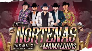 Las Norteñas Más Mamalonas del 2021  By Dj Alfred  EXITOS 2021  La Fiera Rienda Real La Fe [upl. by Anilatak17]