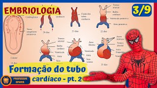 Aula Embriologia  Embriogênese Cardíaca  39 [upl. by Ruelu922]