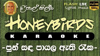 Pun Sada Payala Athi Raka Karaoke Without Voice පුන් සඳ පායල ඇති රෑක කැරෝකේ [upl. by Uokes]