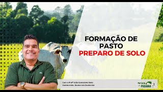 Duvidas sobre formação de pasto  Preparo do solo [upl. by Gitel300]