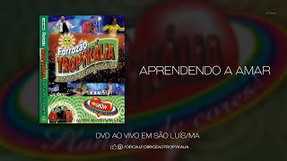 Aprendendo a Amar  DVD Forrozão Tropykália Ao Vivo em São LuísMA 2005 [upl. by Ehrlich396]