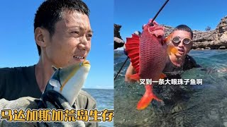 升级鱼枪前往深海探索海底，凌晨赶海退大潮收获颇丰 [upl. by Amlus]