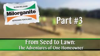 How to Start a Lawn From Seed Part 3 [upl. by Asile]