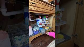 Organize under the kitchen sink with me shorts kitchenorganization homeorganization kitchen [upl. by Idyh]