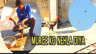 Murge KO Nehla Diya  Patang Bhi Uraai  Affan Imran Vlogger 🫡 [upl. by Armanda]