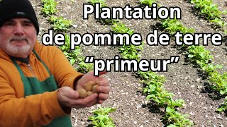 quotComment GrandPère Plantait et Cultivait les Pommes de Terre Primeur quot [upl. by Hsu]