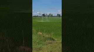 Insecticide spraying agriculturedrone farming drone djidrone dji t40 [upl. by Flory]