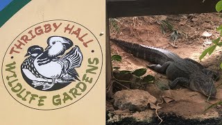 Visit Thrigby Hall Wildlife Gardens Autumn Vlog 2024 [upl. by Trautman898]