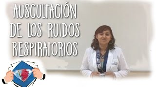 Auscultación de Ruidos Respiratorios  Medical League [upl. by Etnaled]