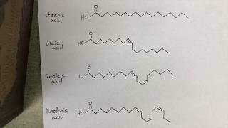 What are trans fats [upl. by Nahk]