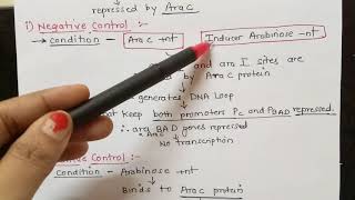 Arabinose Operon Part 3 Dr Preeti Dharmik [upl. by Clayton]