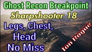 Ghost Recon Breakpoint Sharpshooter Rank 18 Challenge 2 [upl. by Wilmette]