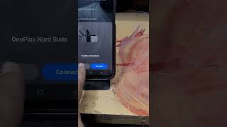 How to Connect OnePlus Nord Buds Earbuds  Bluetooth Earbuds pairing mode on Android viral shorts [upl. by Notsirb]