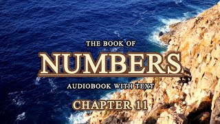 Israelites Struggles on Their Way to the Promised Land • Numbers Audio Bible • Holy Bible Audio [upl. by Htelimay]