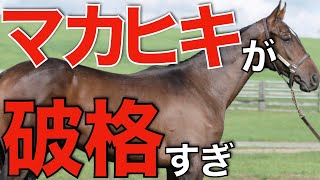 【成功へ】日本ダービー馬マカヒキが衝撃の種付け料！これは人気するのでは。 [upl. by Berri]