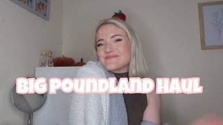 POUNDLAND HAULNovember 2024 [upl. by Anivla]