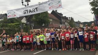 23 km Schülerlauf 1 U12 wm 20052008  36 Bergneustädter NACHTLAUF  NRW Oberberg 02092016 [upl. by Yadrahc]