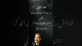 Allama Iqbal poetry🌺💞bekhudii​​poetry​​allamiqbal​​viral​​9nov​​ [upl. by Scotti]