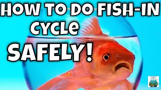 How to Do a Fish In Cycle the SAFE way NEW AND IMPROVED [upl. by Nomae]