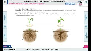 Mavi Set Biyoloji 3  Bitki Biyolojisi Bitkilerin Yapısı  3 🔬 [upl. by Christopher248]