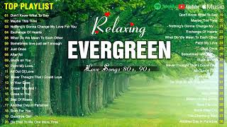 Golden Cruisin Love Songs Collection 💚 Best Evergreen Songs 💚 Nonstop Love Songs 80s 90s Compilation [upl. by Caron984]