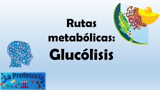 Rutas metabólicas Glucólisis [upl. by Austine]