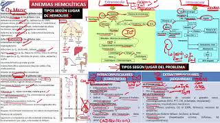 6 ANEMIAS HEMOLITICAS 1 [upl. by Bryant545]