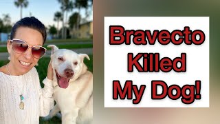 Bravecto Killed My Dog Warning to All Pet Owners Because They’ve Known Since 2019 [upl. by Sitof]