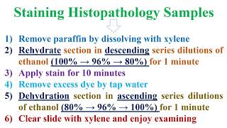 Staining Histopathology Samples [upl. by Odawa89]