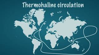 Ocean currents and circulation [upl. by Eustacia]