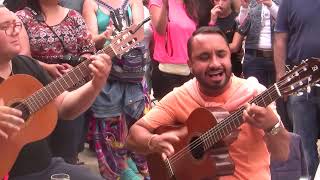 Fete des Gitans 2014Gypsymusic Saintes Maries de la Mer [upl. by Emse]