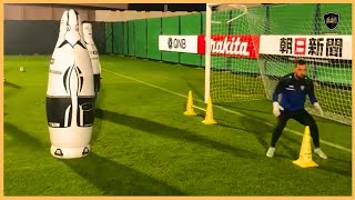 Professional Goalkeeper Training [upl. by Neenad376]